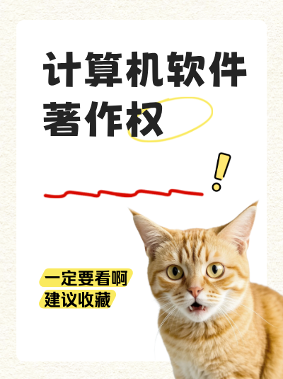 计算机软件著作权合规标准，外文材料补正翻译的格式规范！