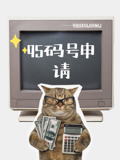96码号的使用范围有哪些限制？