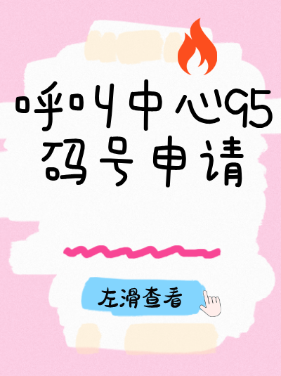 95码号办理风险之技术方案：方案不合理会被驳回吗？