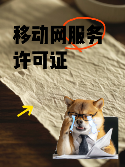 SP许可证加急办理：风险与收益分析