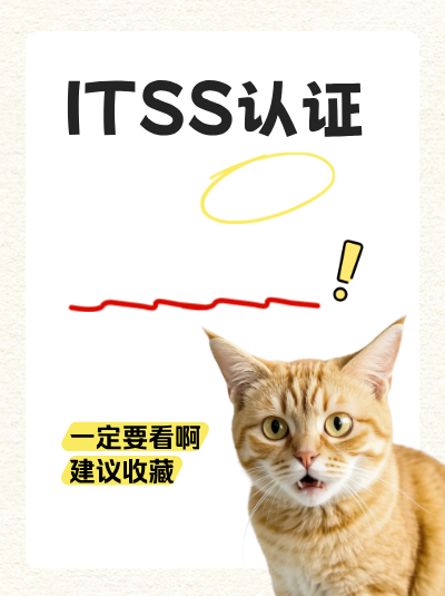 依据ITSS信息技术服务标准资质，企业如何更好匹配客户需求？