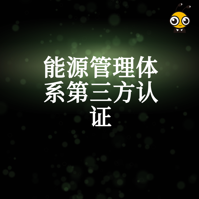 能源管理体系第三方认证流程深度解析助力企业高效通过审核