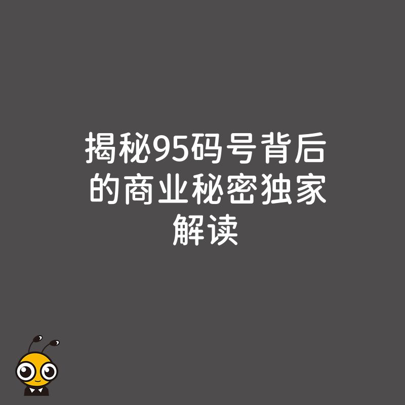 95码号