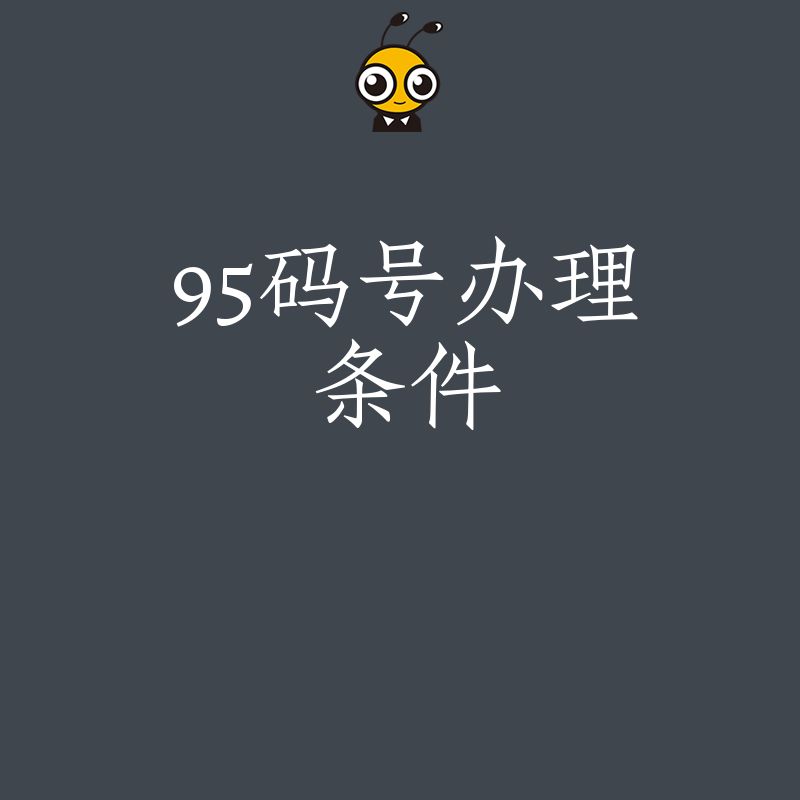 95码号办理全攻略申请条件流程详解