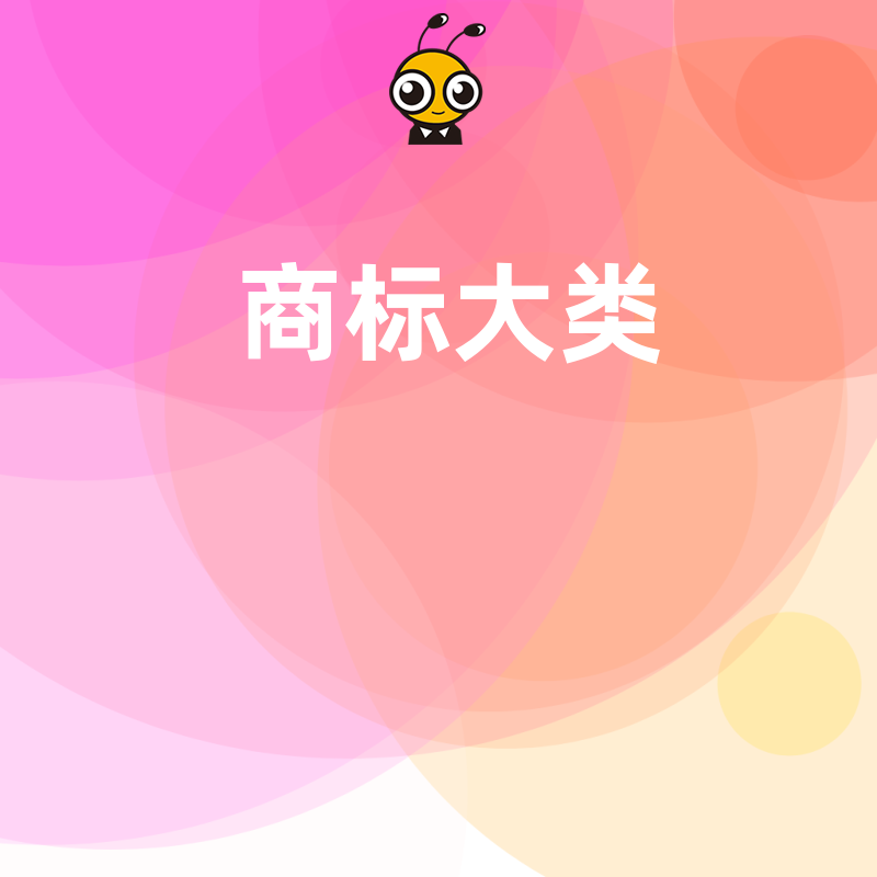 电商企业2026年8月必看，精准锁定核心商标大类，低成本构建全品类防御护城河