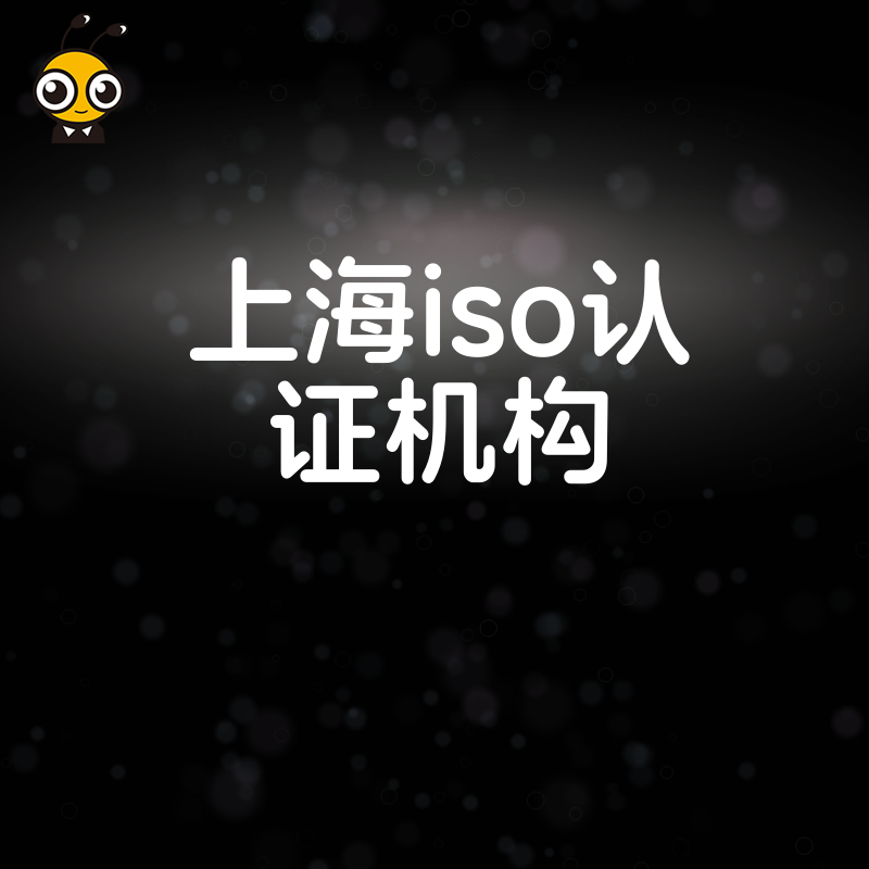 2026年8月上海ISO认证机构避坑指南，揭秘招投标加分背后的实操细节与合规风险