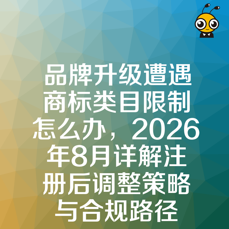 品牌升级遭遇商标类目限制怎么办，2026年8月详解注册后调整策略与合规路径