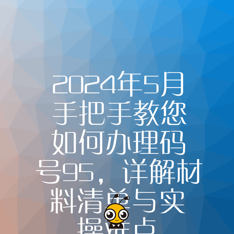 2024年5月手把手教您如何办理码号95，详解材料清单与实操难点