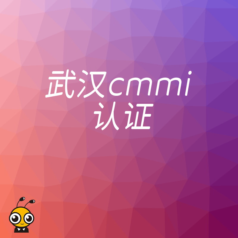 2026年8月武汉CMMI认证避坑指南，软件企业如何高效过审并提升研发管理效能